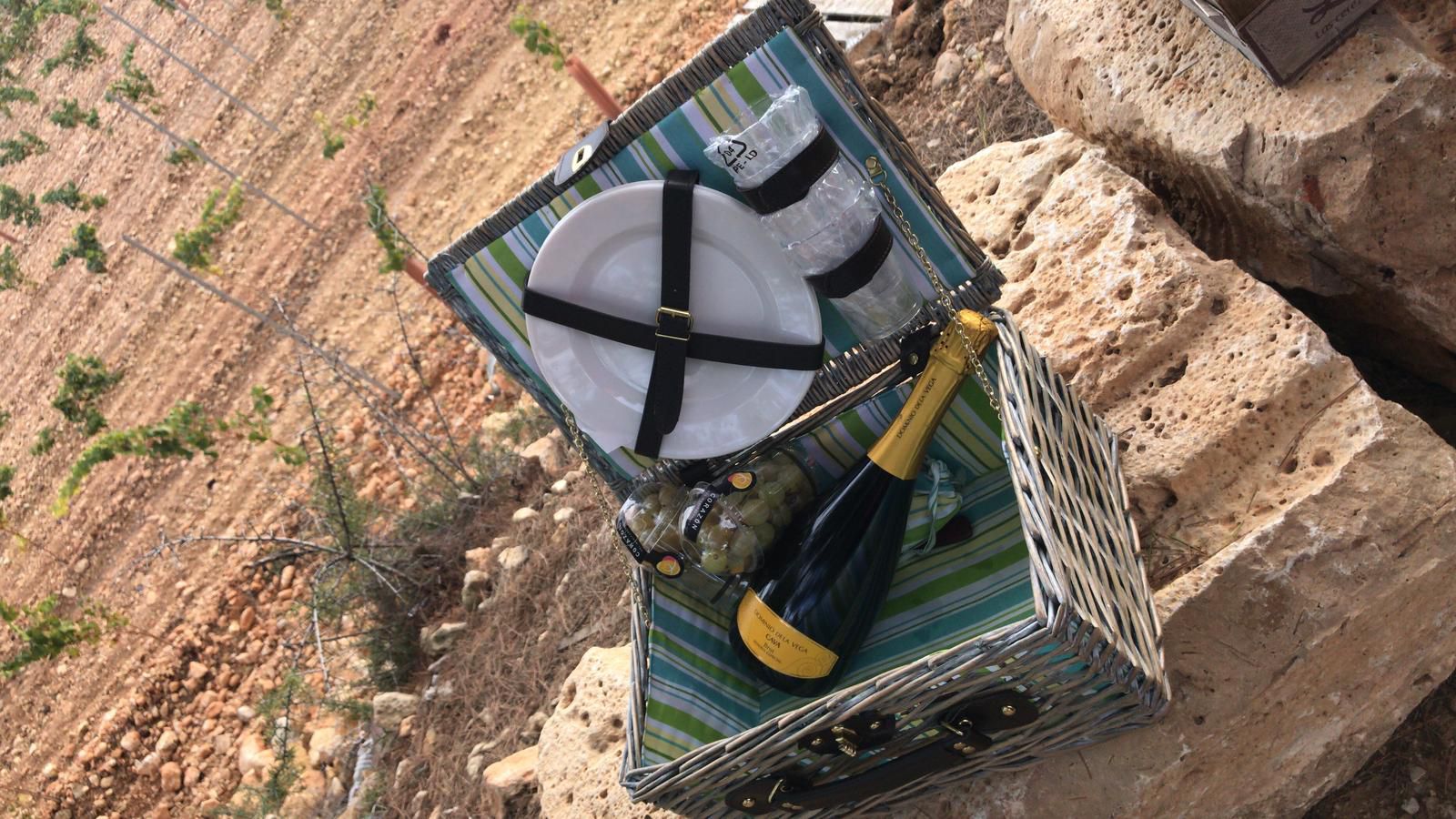 Odoo text and image block