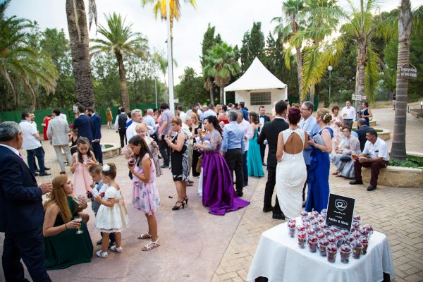 Odoo text and image block